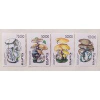 Беларусь 1999, грибы
