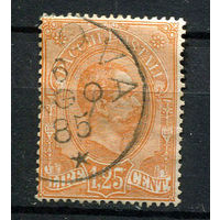 Королевство Италия - 1884/1886 - Посылочная марка - Король Умберто I 1,25L - [Mi.5Pk] - 1 марка. Гашеная.  (Лот 79AD)