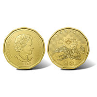Канада 1 доллар 2016 Олимпиада в Рио де Жанейро UNC
