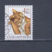 [867] Чехия 1999. Фауна.Кошка. Гашеная марка.