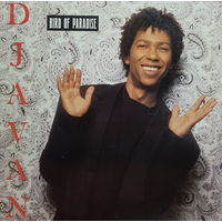 Djavan – Bird Of Paradise, LP 1988