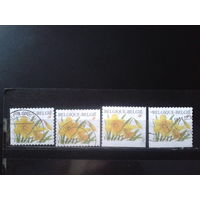 Бельгия 2001 Нарциссы, полная серия разновидностей по расположению в буклете Михель-3,6 евро гаш