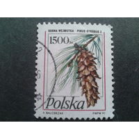 Польша 1991 стандарт шишка