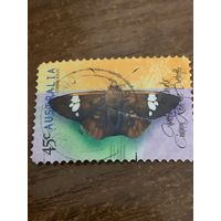 Австралия 1998. Бабочки. Common red-eye. Марка из серии