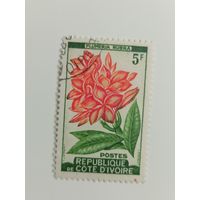 Кот-д'Ивуар 1961. Цветы