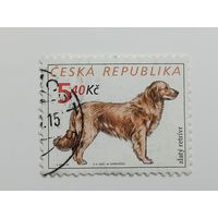 Чехия 2001. Собаки