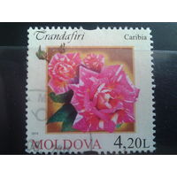 Молдова 2012 Розы, концевая марка серии Михель-2,5 евро гаш