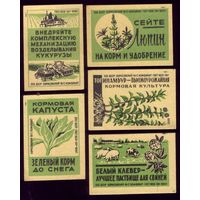 5 этикеток 1960 год Сельское хозяйство Борисов