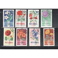 Румыния-1964, (Мих.2268-2275) гаш.  , Флора, Цветы (полная серия)