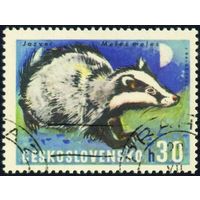 Дикие животные Чехословакия 1966 год 1 марка