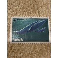 Австралия 2006. Фауна. Белый кит. Марка из серии