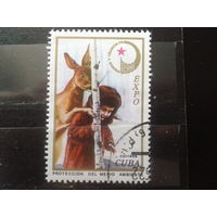 Куба 1976 ЭКСПО-76, кенгуру