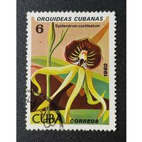 Марка Куба Цветы 1980г. 1.45