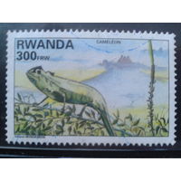 Руанда 1995 Хамелеон  Михель-4,0 евро гаш