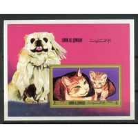 Умм-эль-Кайвайн (ОАЭ) - 1972г. - Кошки, собаки - полная серия, MNH [Mi bl. 55 B] - 1 блок