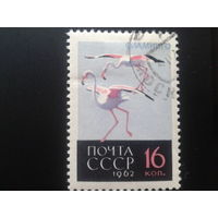 СССР 1962 фламинго