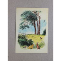Шепард Вини-Пух открытка Англия 1987  10х15 см