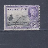 [1559] Британские колонии. Ньясаленд 1945. Георг VI.Ландшафт.6d. Гашеная марка.