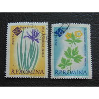 Румыния 1961 г . Флора.