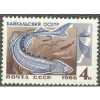 Марка СССР 1966. Осетр. Промысловые рыбы Байкала. 3400. Марка из серии.