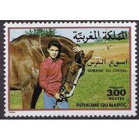 1988 Марокко 1137 Лошади