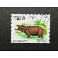 Конго 1994. Животные, находящиеся под угрозой исчезновения