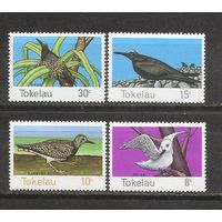 ЛС Токелау 1977 Птицы