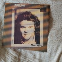 ВИНИЛОВАЯ ПЛАСТИНКА Meat Loaf - Blind Before I Stop (Vinyl LP)