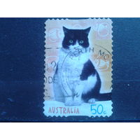 Австралия 2004 Кошка, самоклейка
