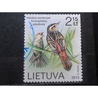 Литва 2013 Певчая птица