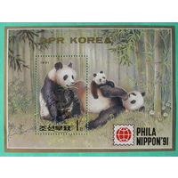 Блок Северная Корея. КНДР 1991. Международная выставка марок "Phil Nippon '91" - Токио, Япония. Панды