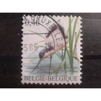 Бельгия 2006 Стандарт, птица 0,46 Михель-0,9 евро гаш