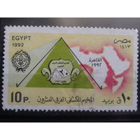 Египет, 1992, Встреча арабских скаутов
