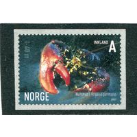 Норвегия. Фауна моря. Европейский омар