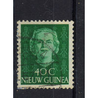 NL Колонии Нидерландская Новая Гвинея 1950 Юлиана Стандарт #14