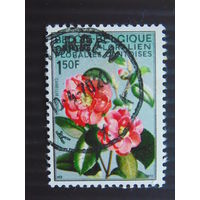 Бельгия 1970 г. Цветы.