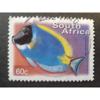 ЮАР 2000 рыба