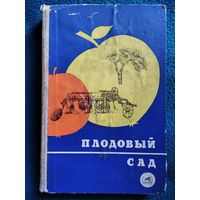 Плодовый сад.  1969 год