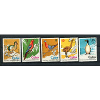 Куба - 1974 - Птицы - [Mi. 1989-1993] - полная серия - 5 марок. Гашеные.  (LOT AL27)(BB)