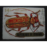 Марка - Бурунди, фауна, насекомые, жуки