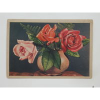 Открытка розы 1947  10х15 см