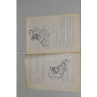 Редчайшее описание и инструкция герметического шлема ГШ-6А. 1975 ГОДА!  НОВОЕ!  33 страницы.