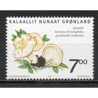 Грибы Гренландия (Дания) 2006 год 1 марка