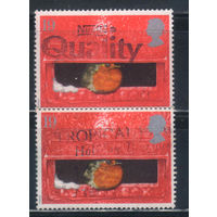 Великобритания 1995 EII Рождество Малиновка в почтовом ящике #1596