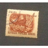 Румынско-Советская дружба. Румыния. Дата выпуска:1951-11