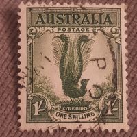 Австралия 1932. Птица лира