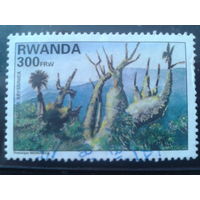 Руанда 1995 Флора, деревья Михель-4,0 евро гаш