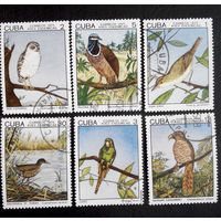 Куба 1975 г. Птицы. Фауна. полная серия из 6 марок #0045-Ф1