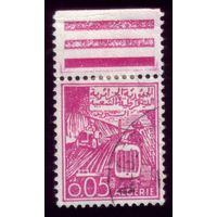 1 марка 1964 год Алжир 416