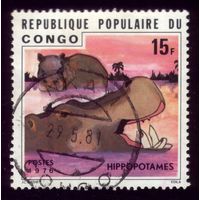 1 марка 1976 год Конго Бегемот 541